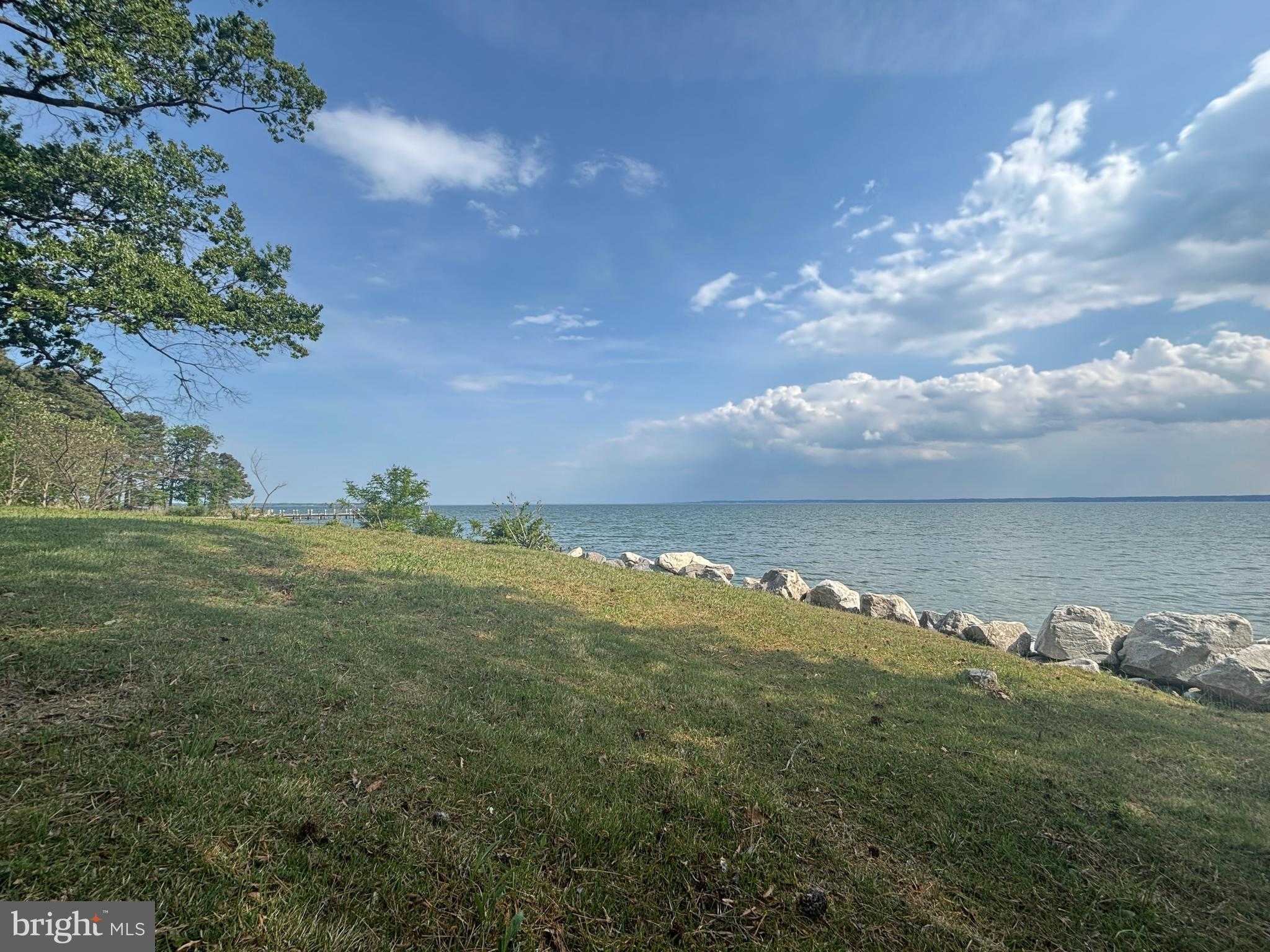 15567 Potomac River Dr photo 5