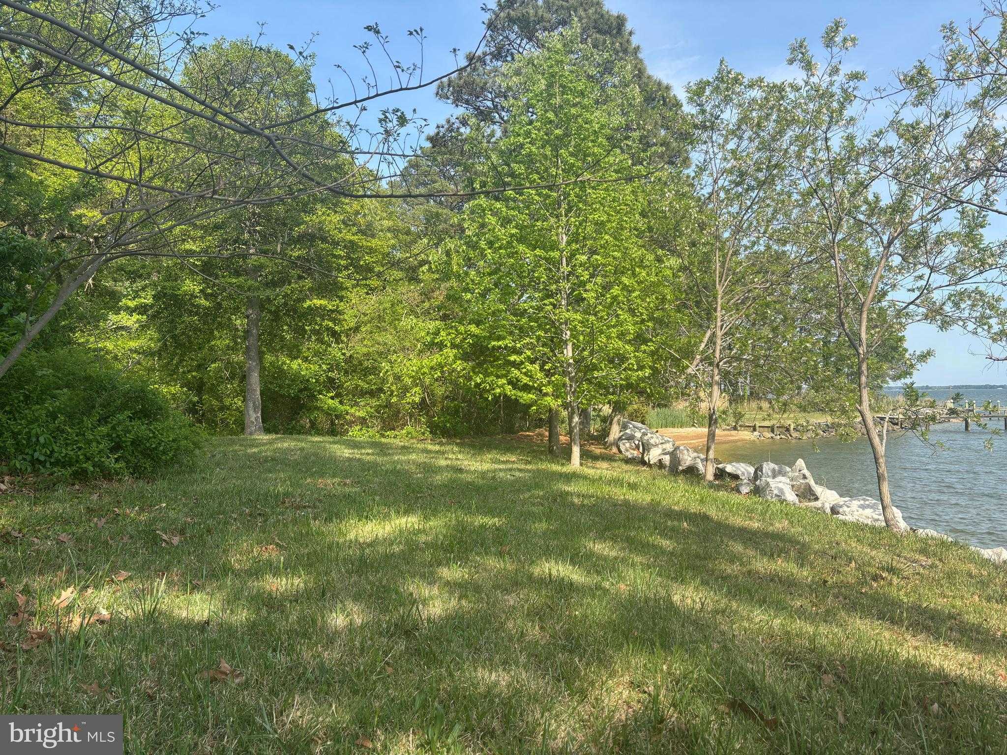 15567 Potomac River Dr photo 7