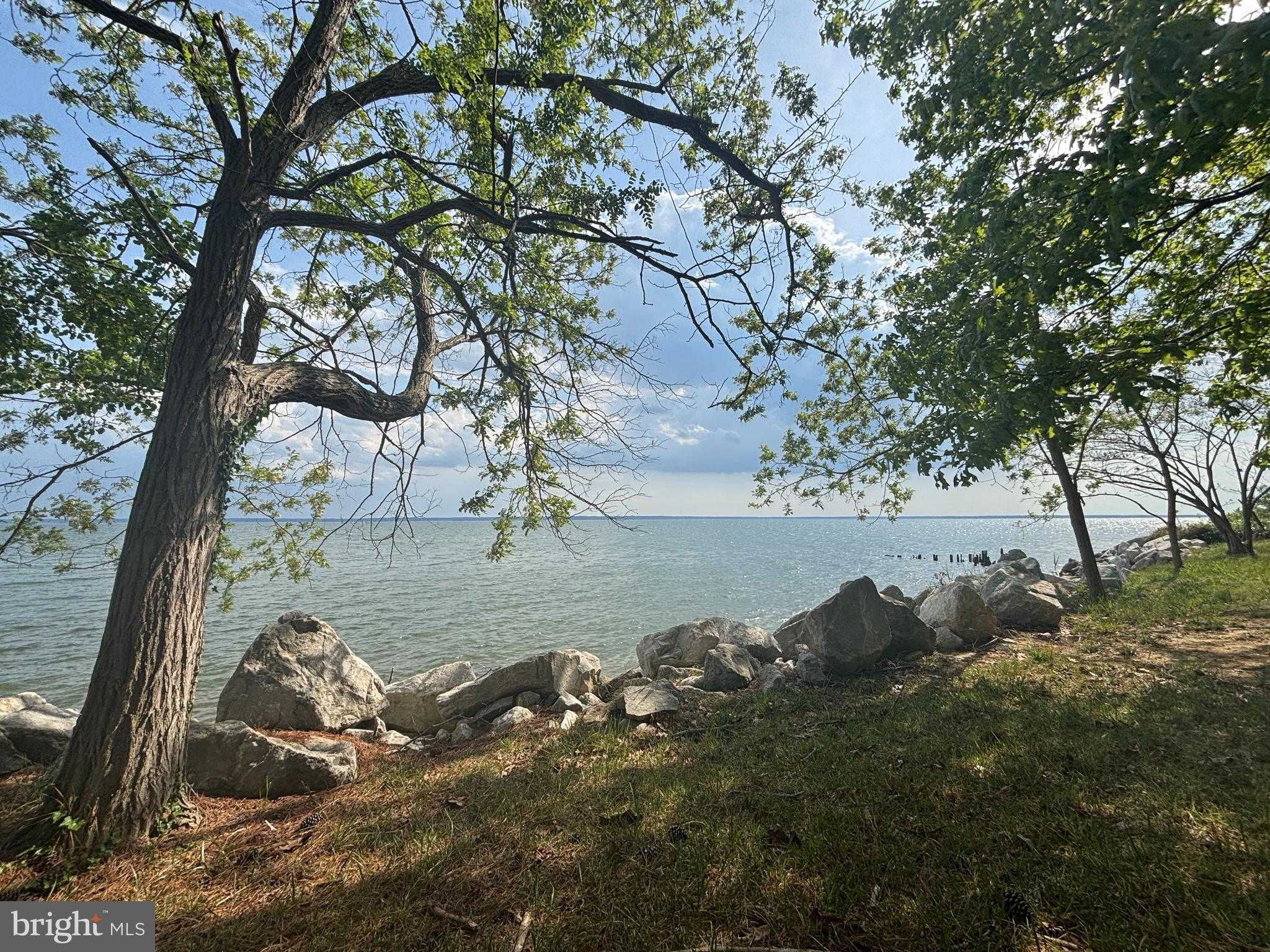 15567 Potomac River Dr photo 8
