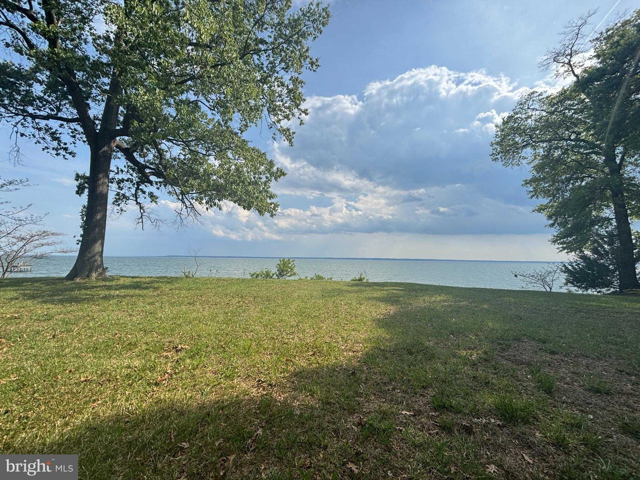 15567 Potomac River Dr photo 9