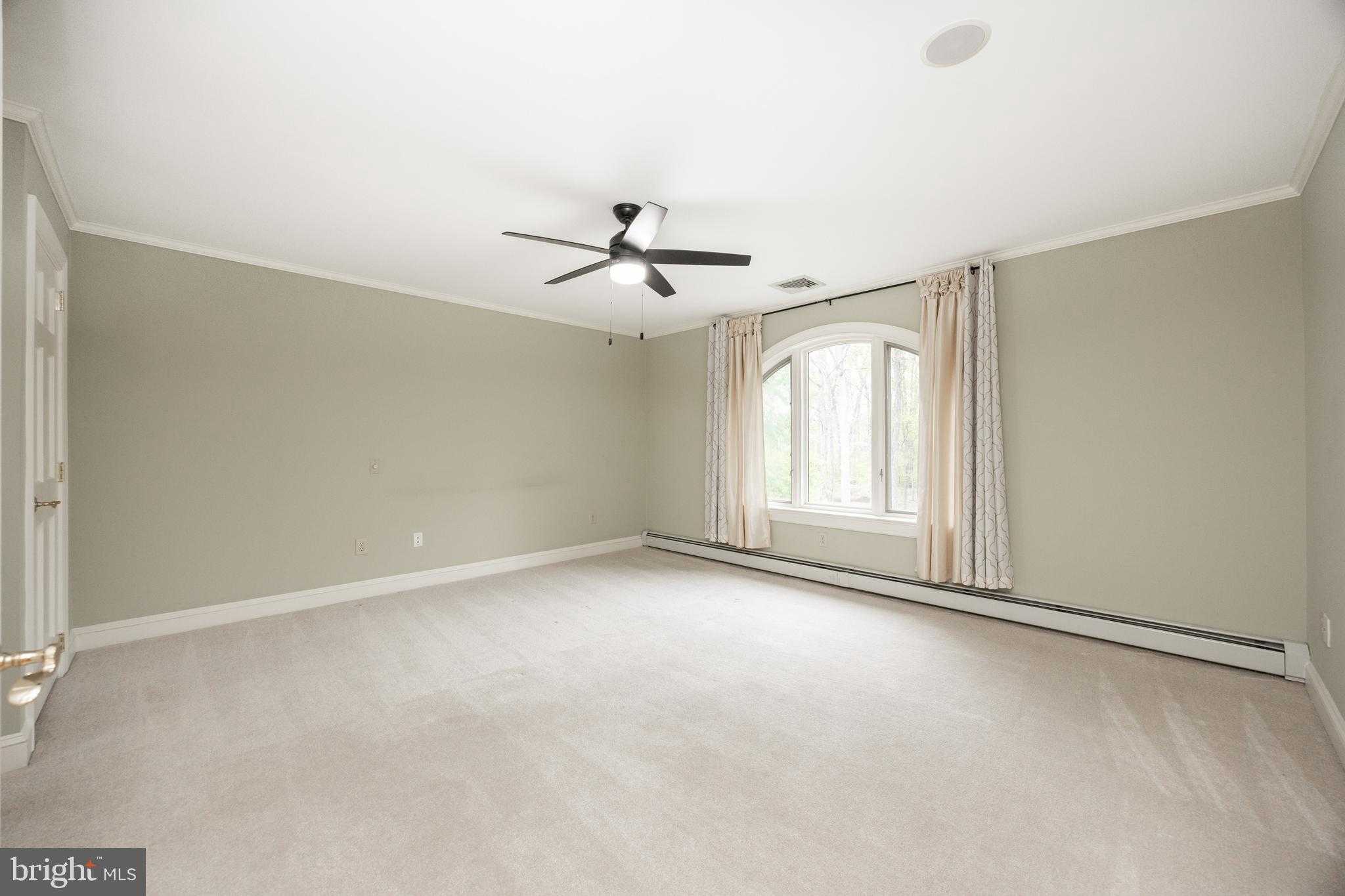 172 White Pine Way photo 37