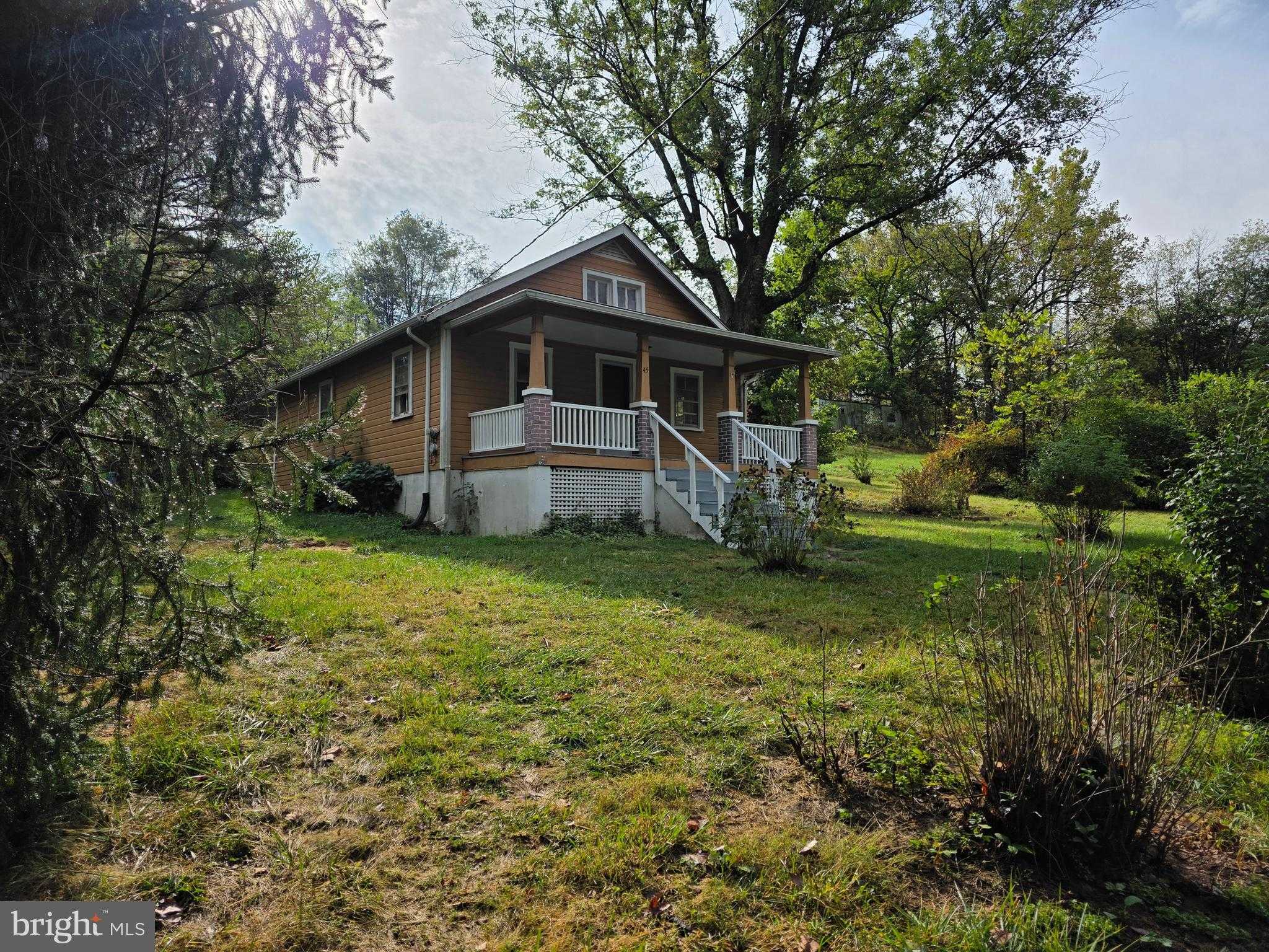 45 Pansy Ln photo 7