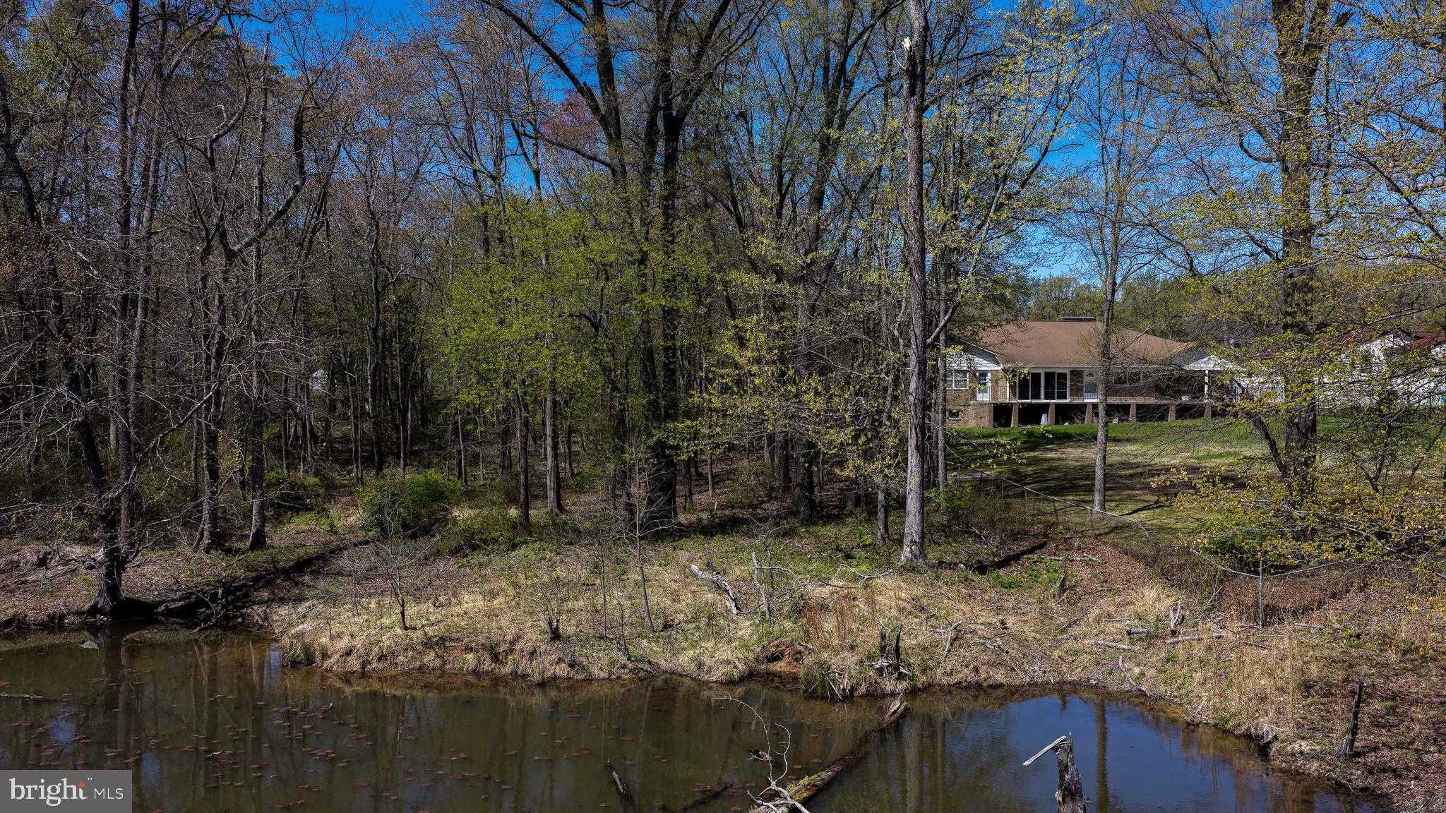 11821 Ellington Dr photo 3