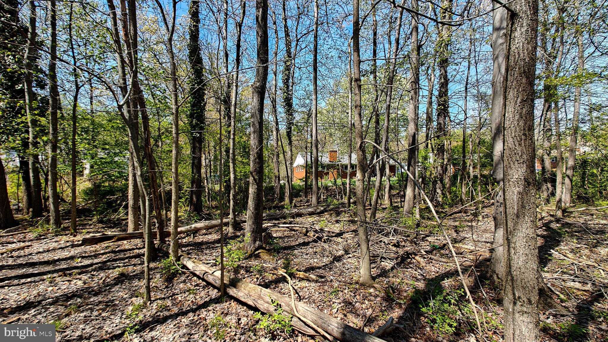 11821 Ellington Dr photo 30