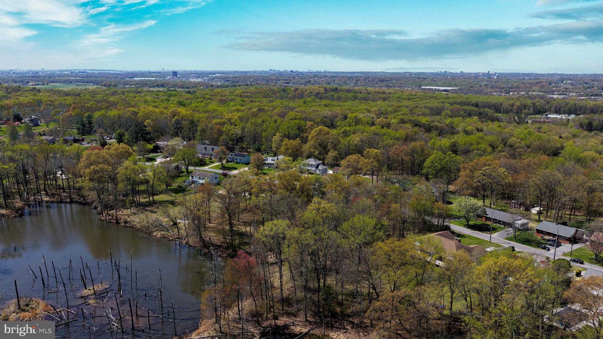 11821 Ellington Dr photo 33