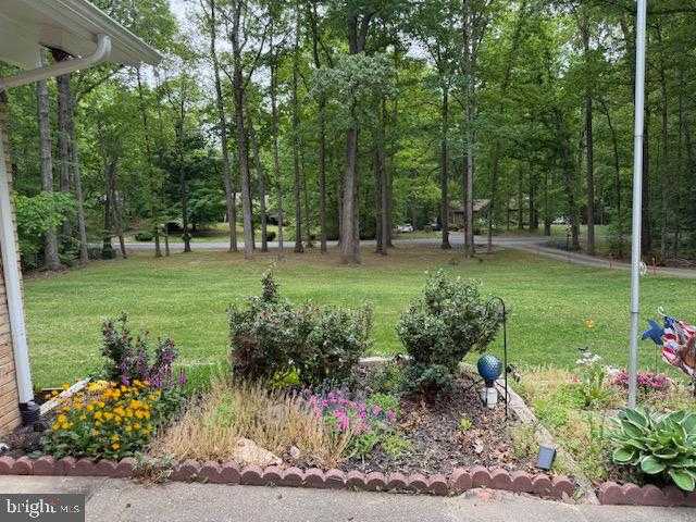 7 Berkshire Ln photo 10