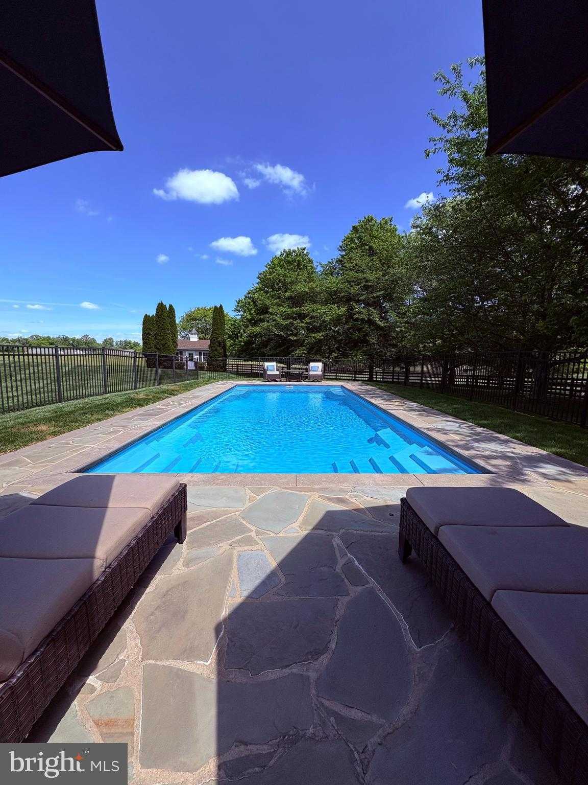 24266 Sunny Meadow Ln photo 9