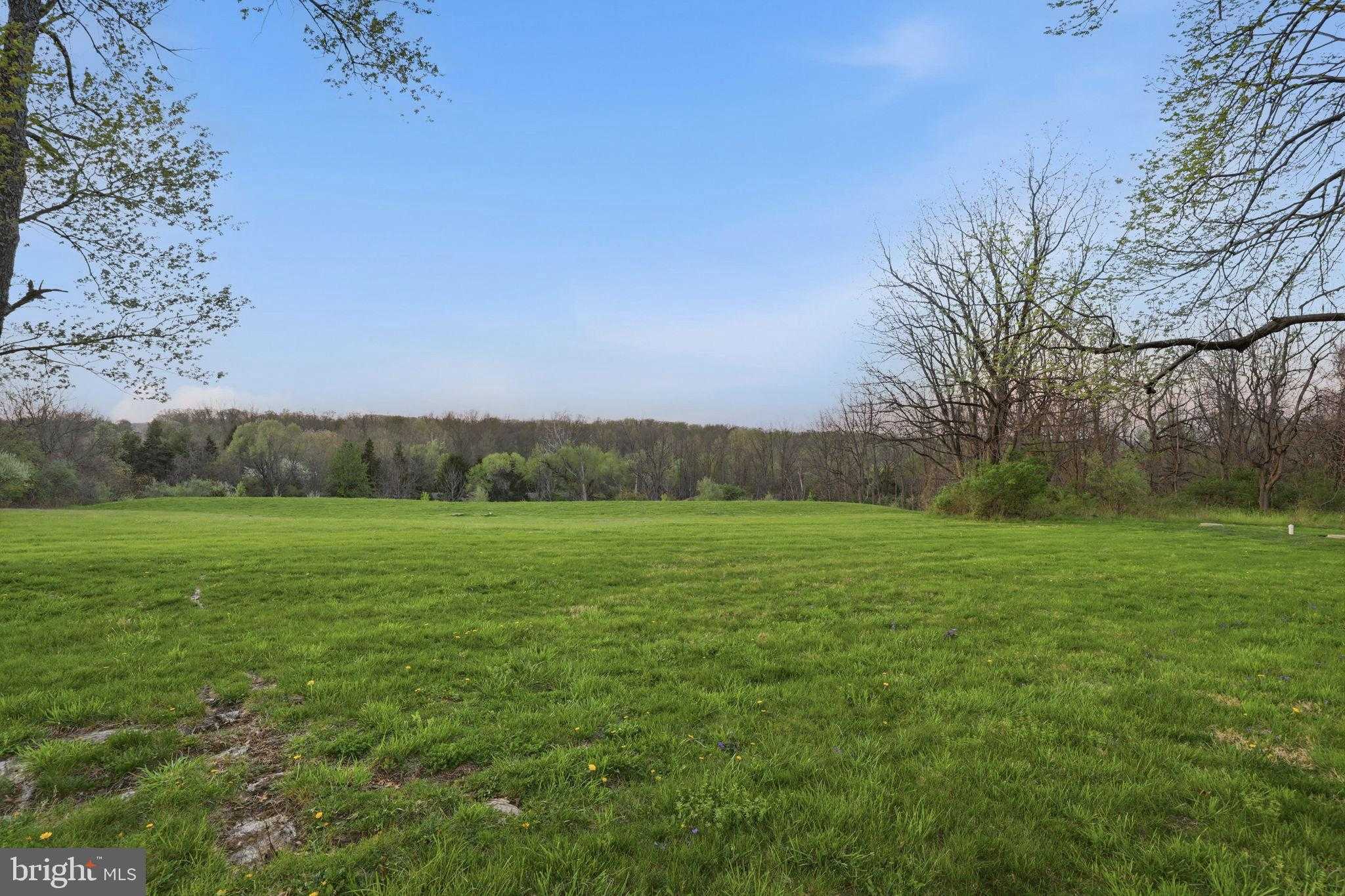 2319 Forest Grove Rd photo 64