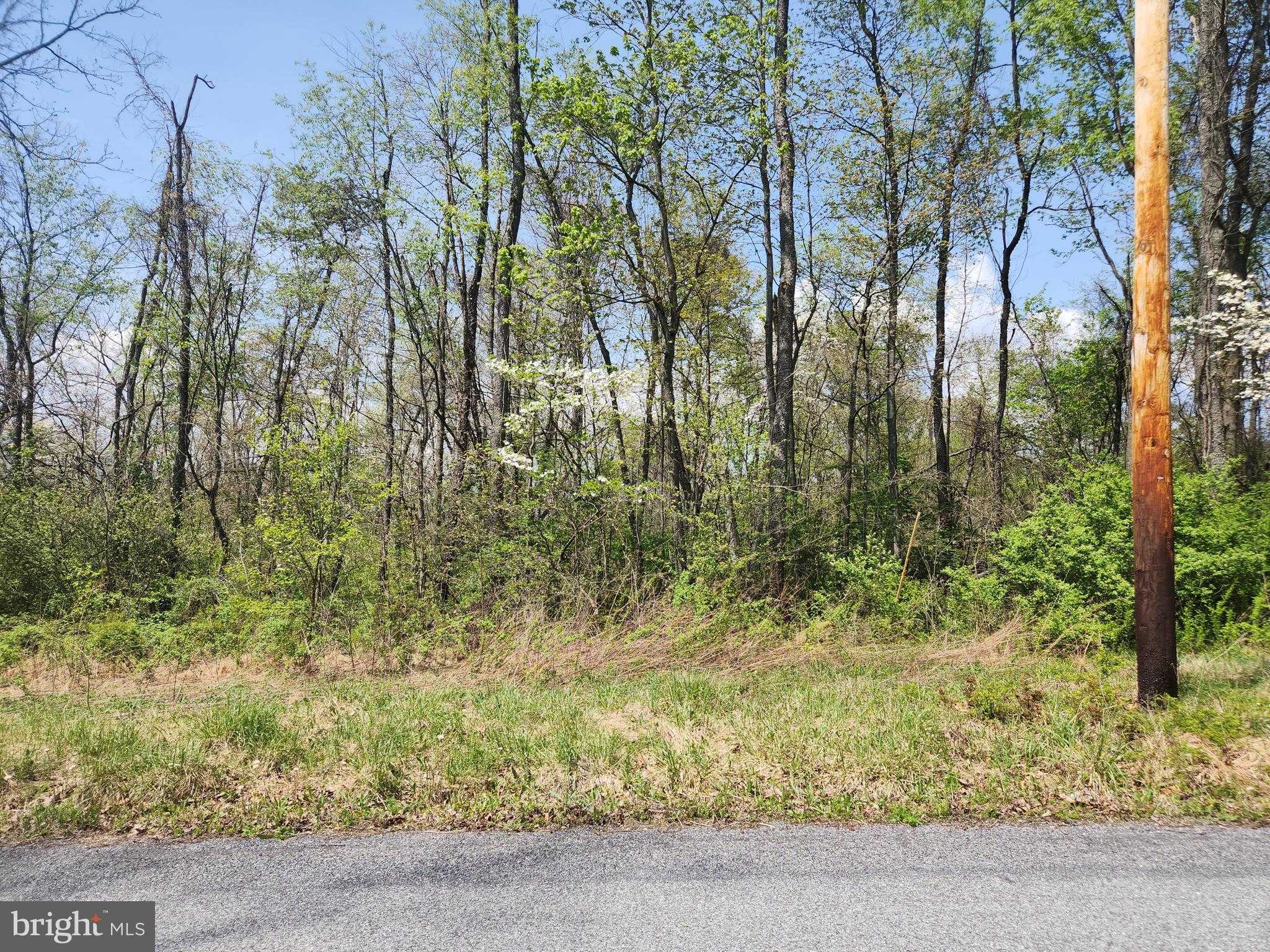 5 Vickie Blvd photo 5