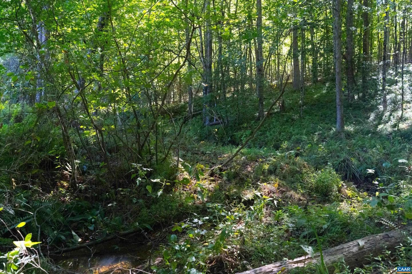 1889 Pond Rd photo 50