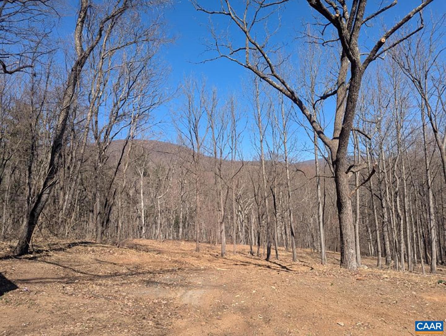 2005 Upper Stony Run photo 29