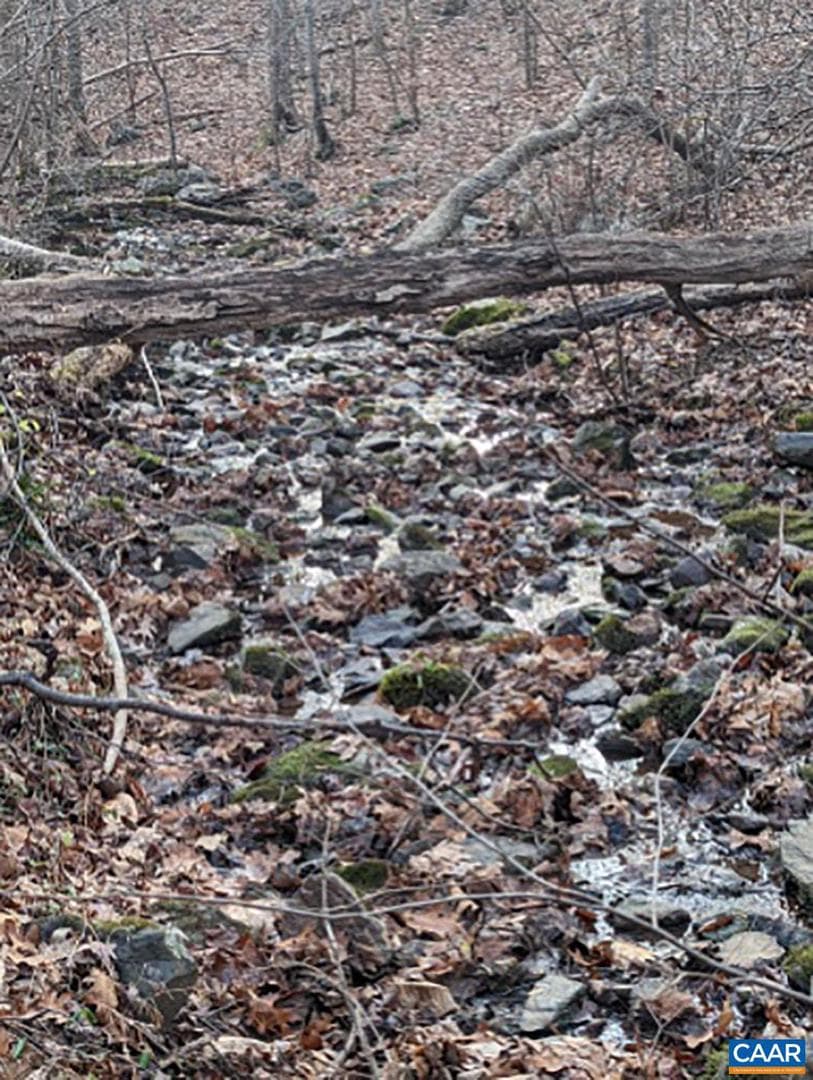 2005 Upper Stony Run photo 65