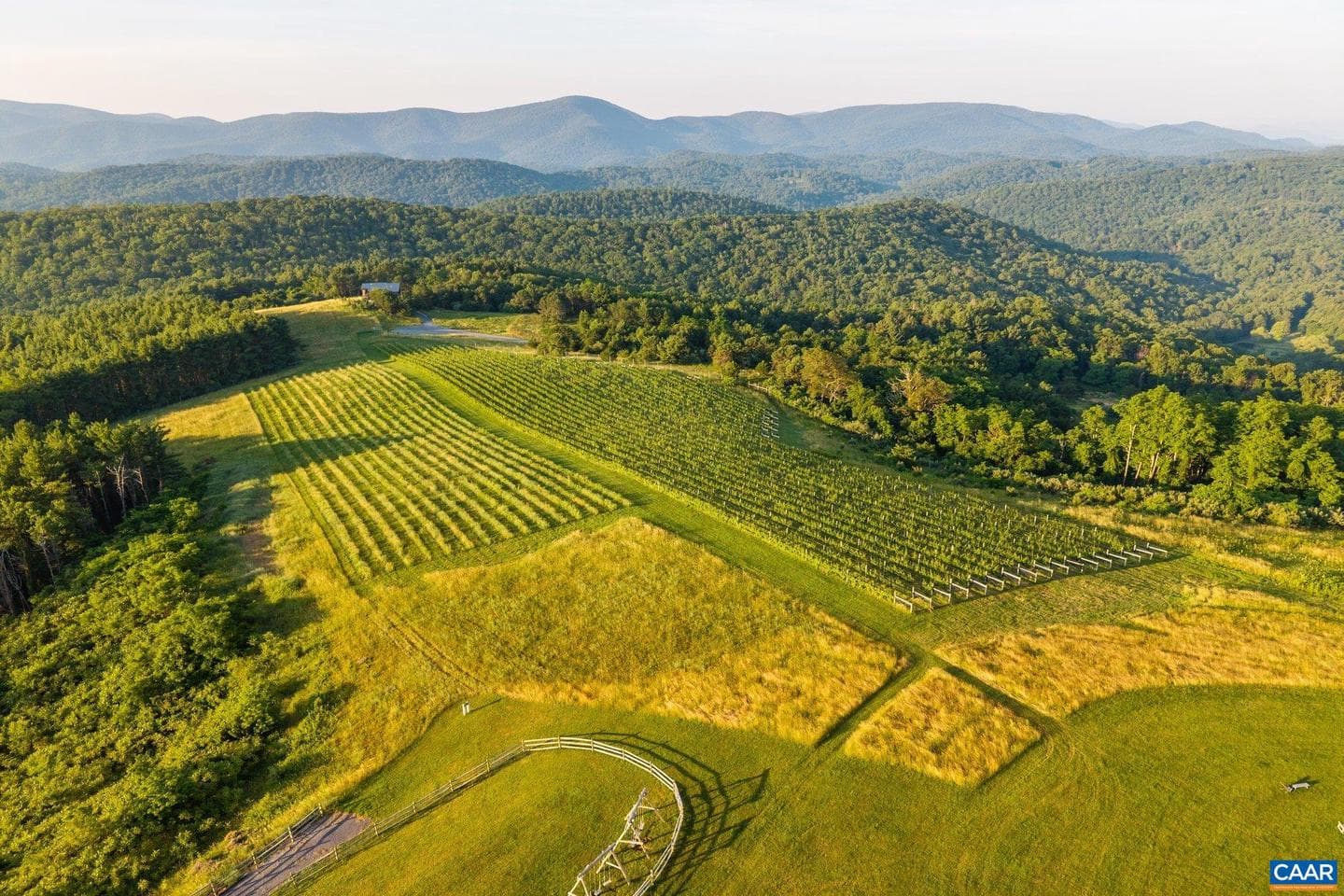 24981 Blue Ridge Pkwy photo 56