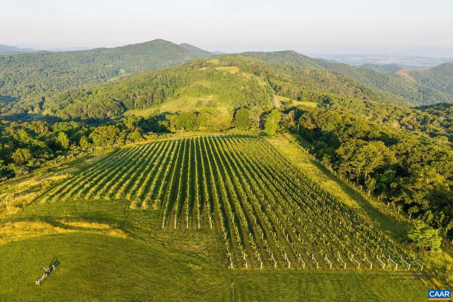 24981 Blue Ridge Pkwy photo 57