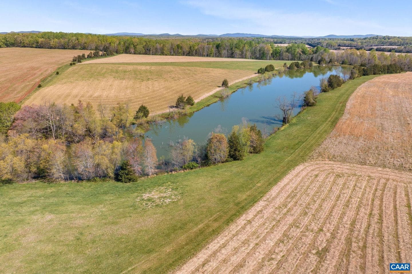 8199 Scottland Farm Dr photo 46