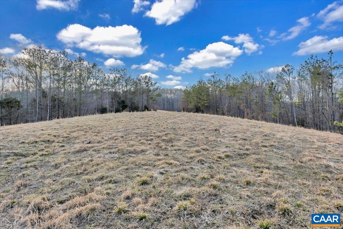 1660 Lees Mill Ln photo 73