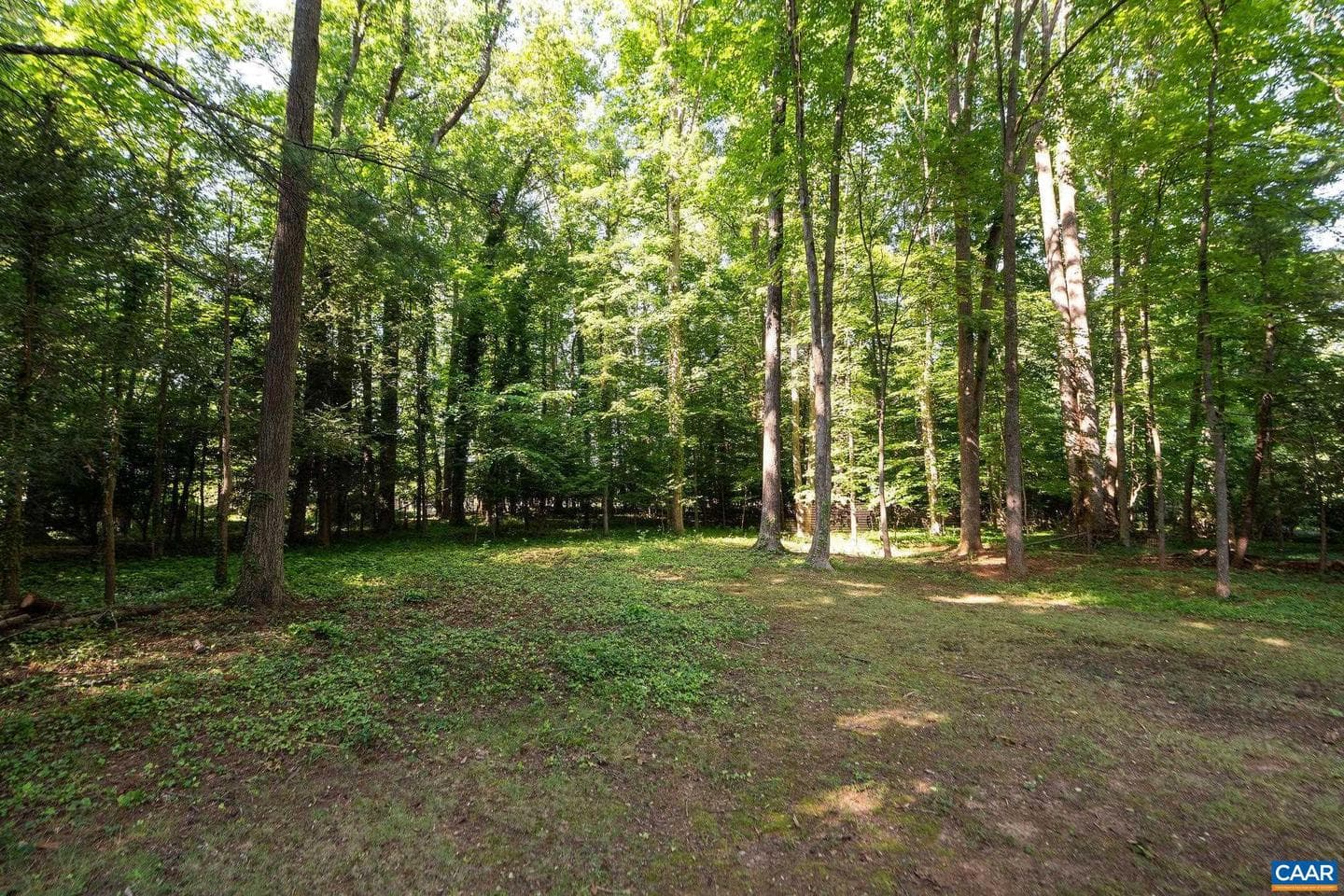 101 Kerry Ln photo 39