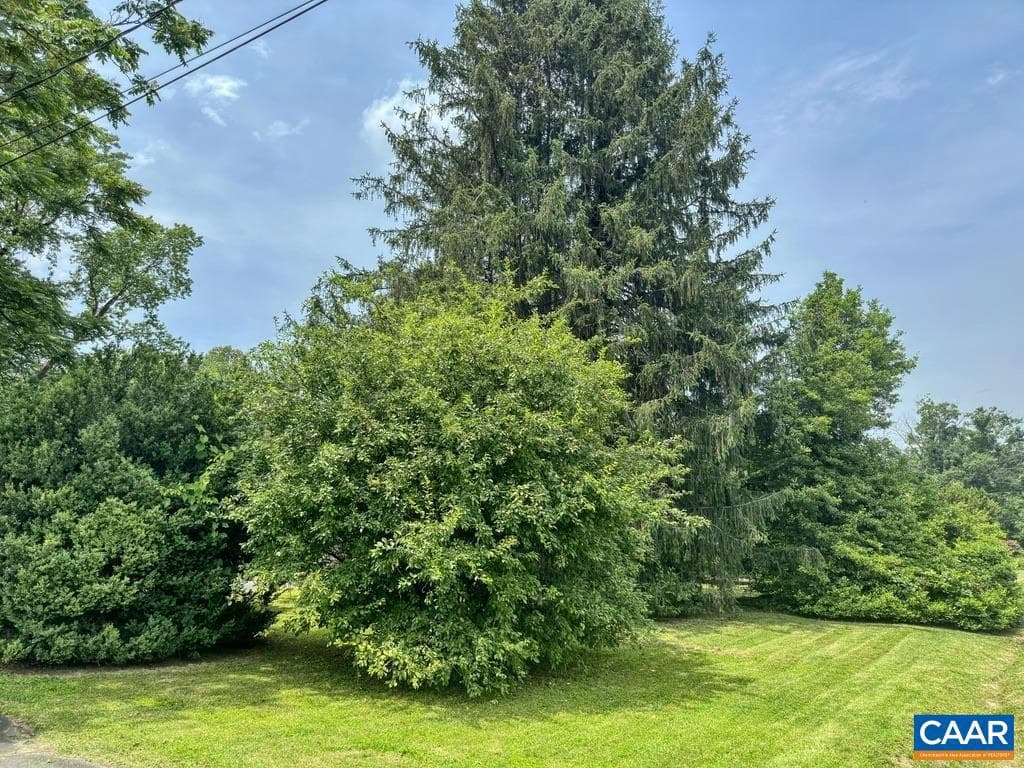 211 Martinsburg Ave photo 41
