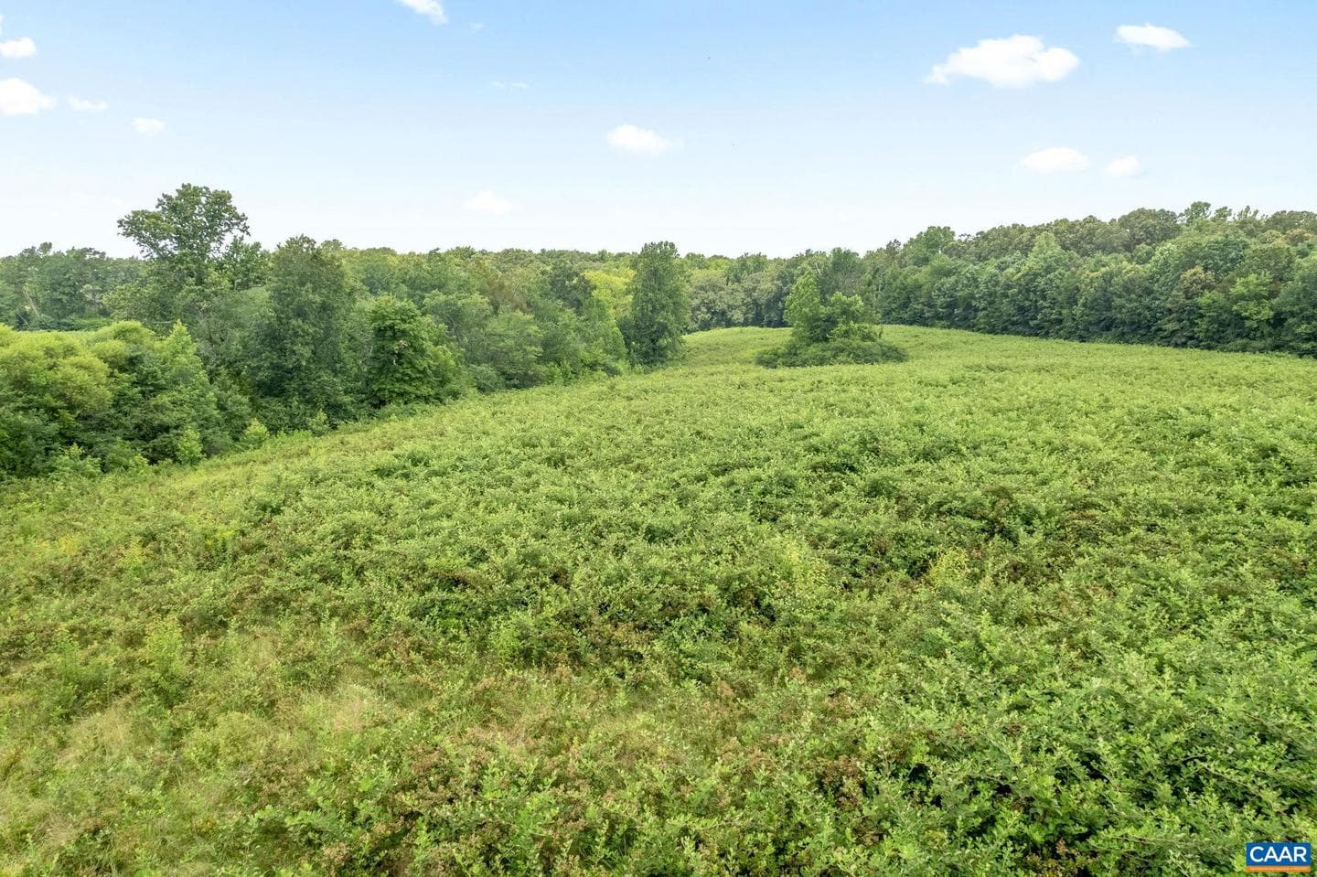 5039 James Madison Hwy photo 72