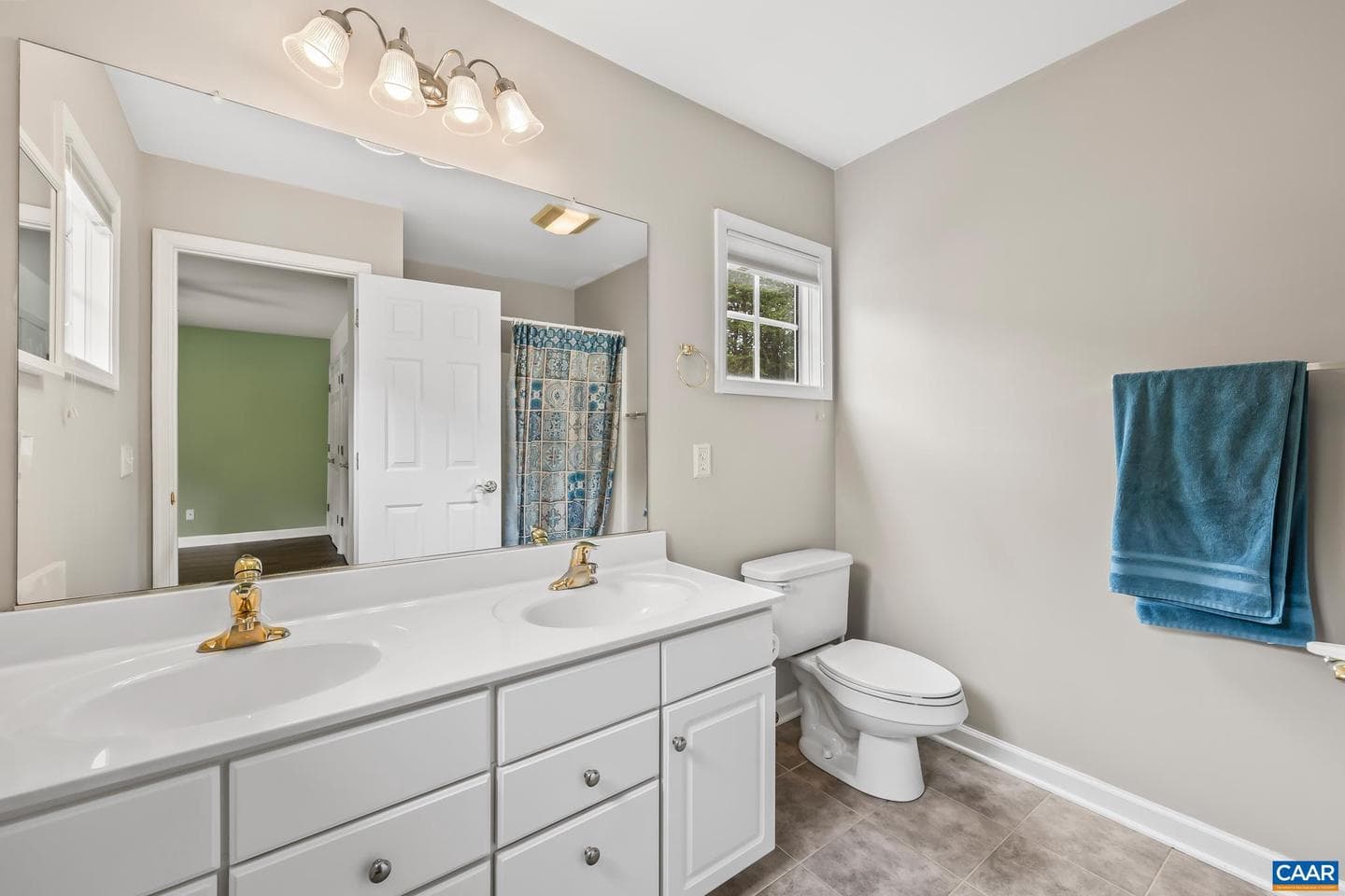 1011 Bristlecone Ln photo 26