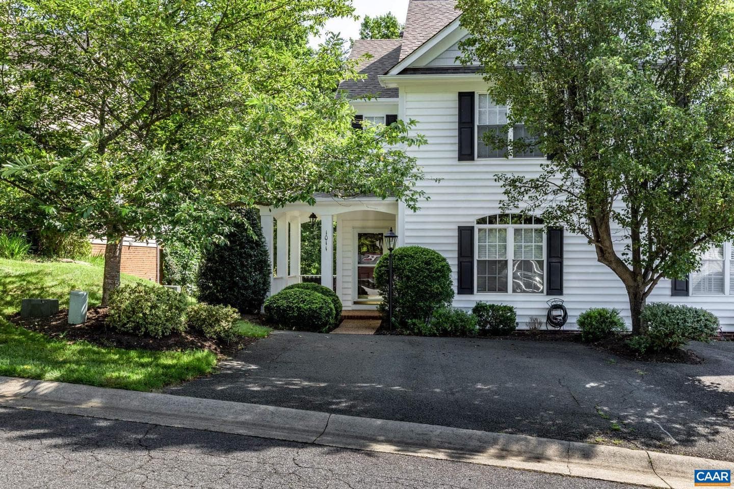 1011 Bristlecone Ln photo 3