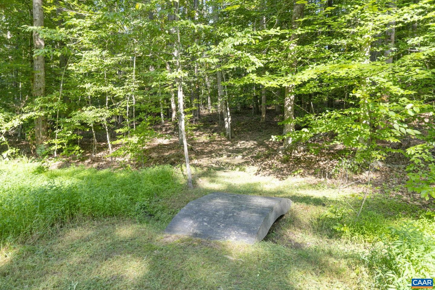 242 Bowlers Mill Ln photo 53
