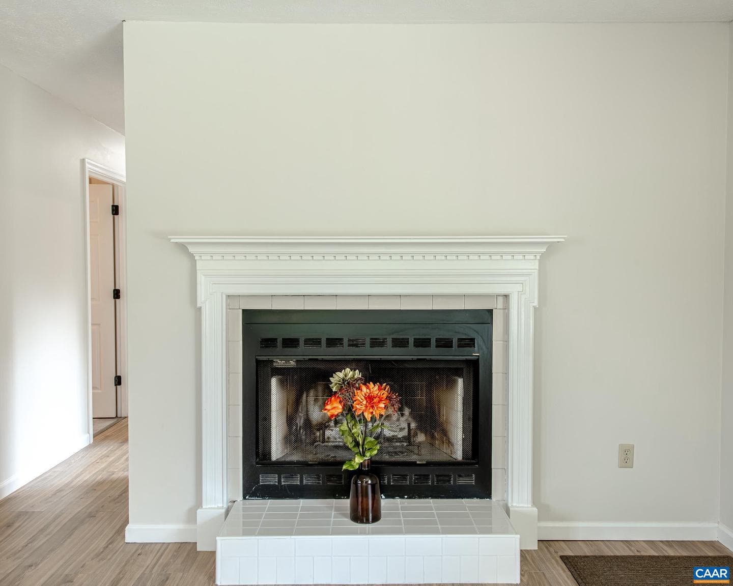 101 Dun Glory Dr photo 19