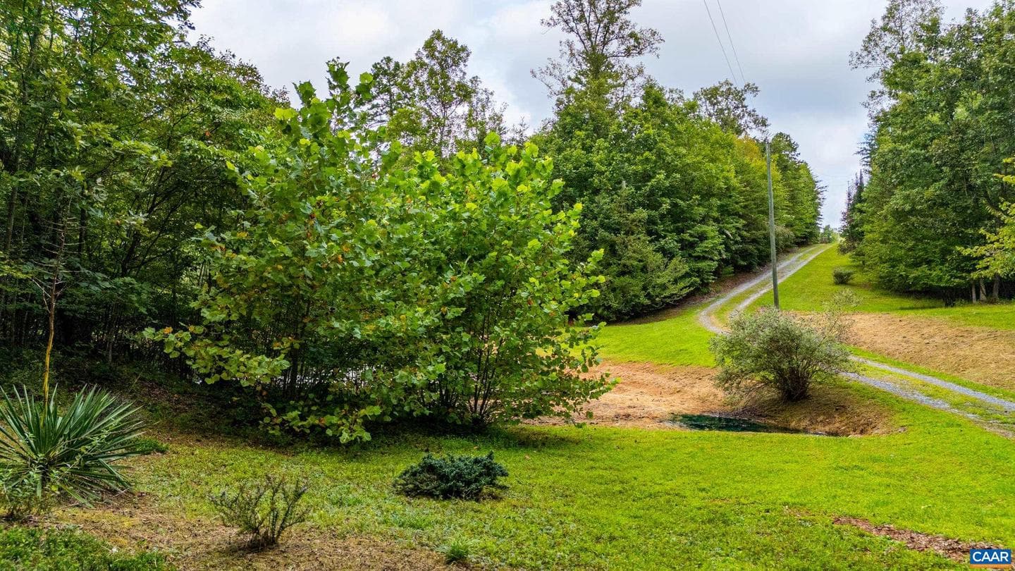 175 Tracie Dr photo 66