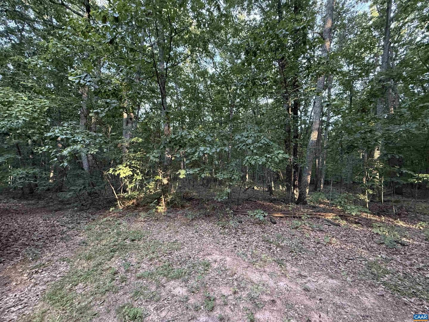 5051 Shannon Hill Rd photo 60