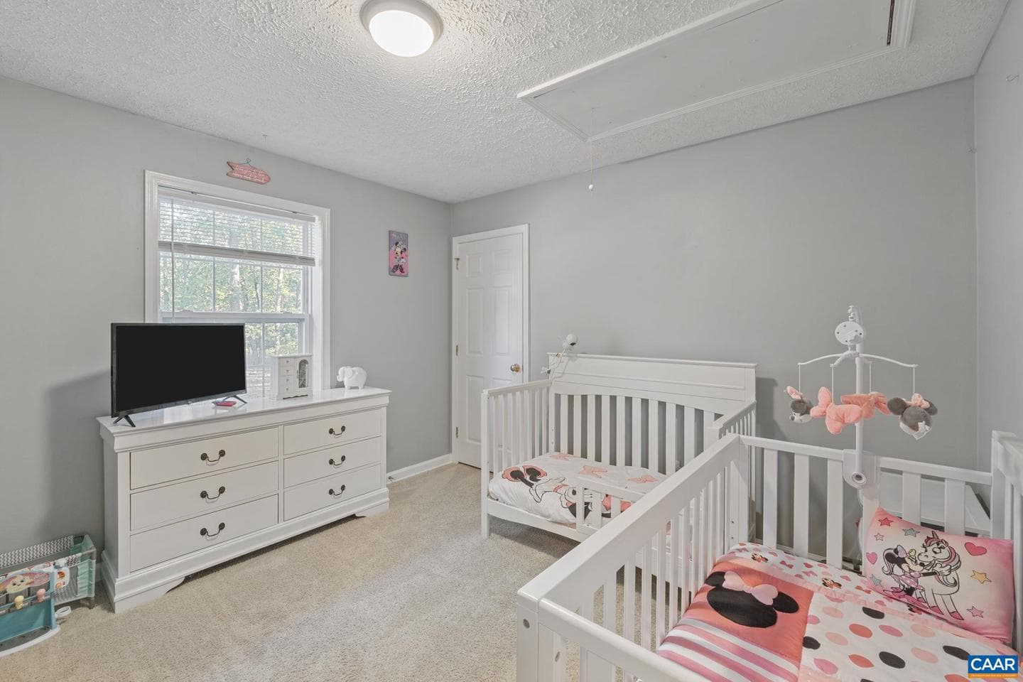 118 Hunters Hill Ln photo 28