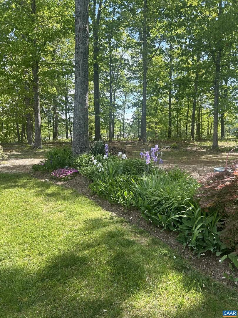 240 Meghans Ln photo 75