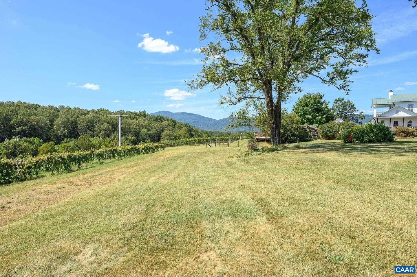 9175 Batesville Rd photo 43