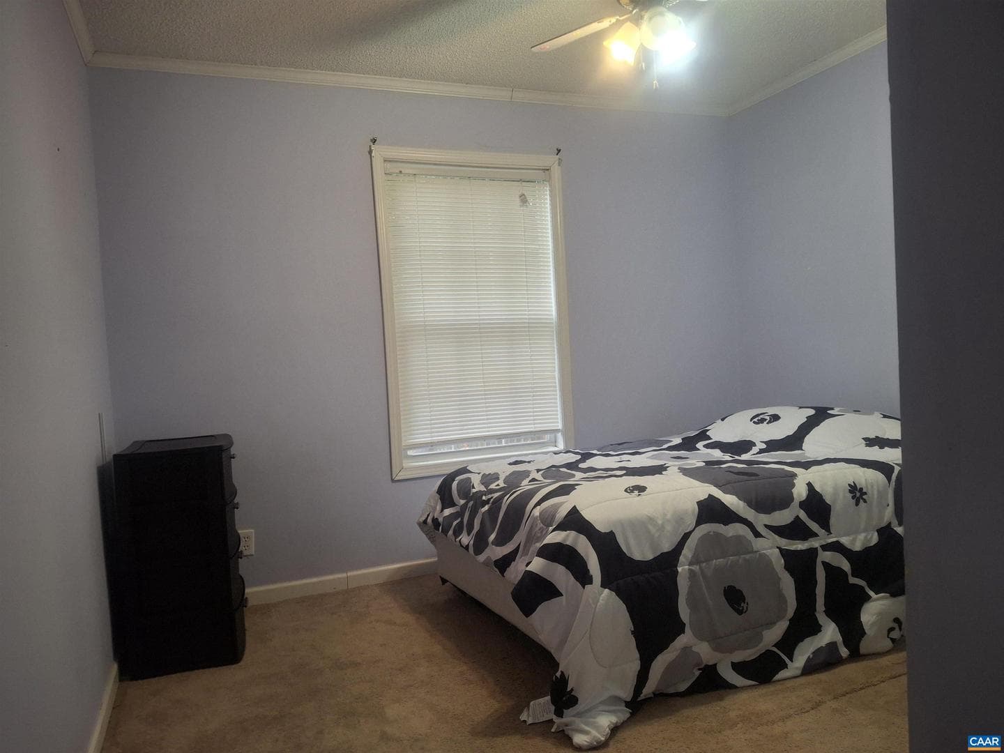 220 Camden St photo 11