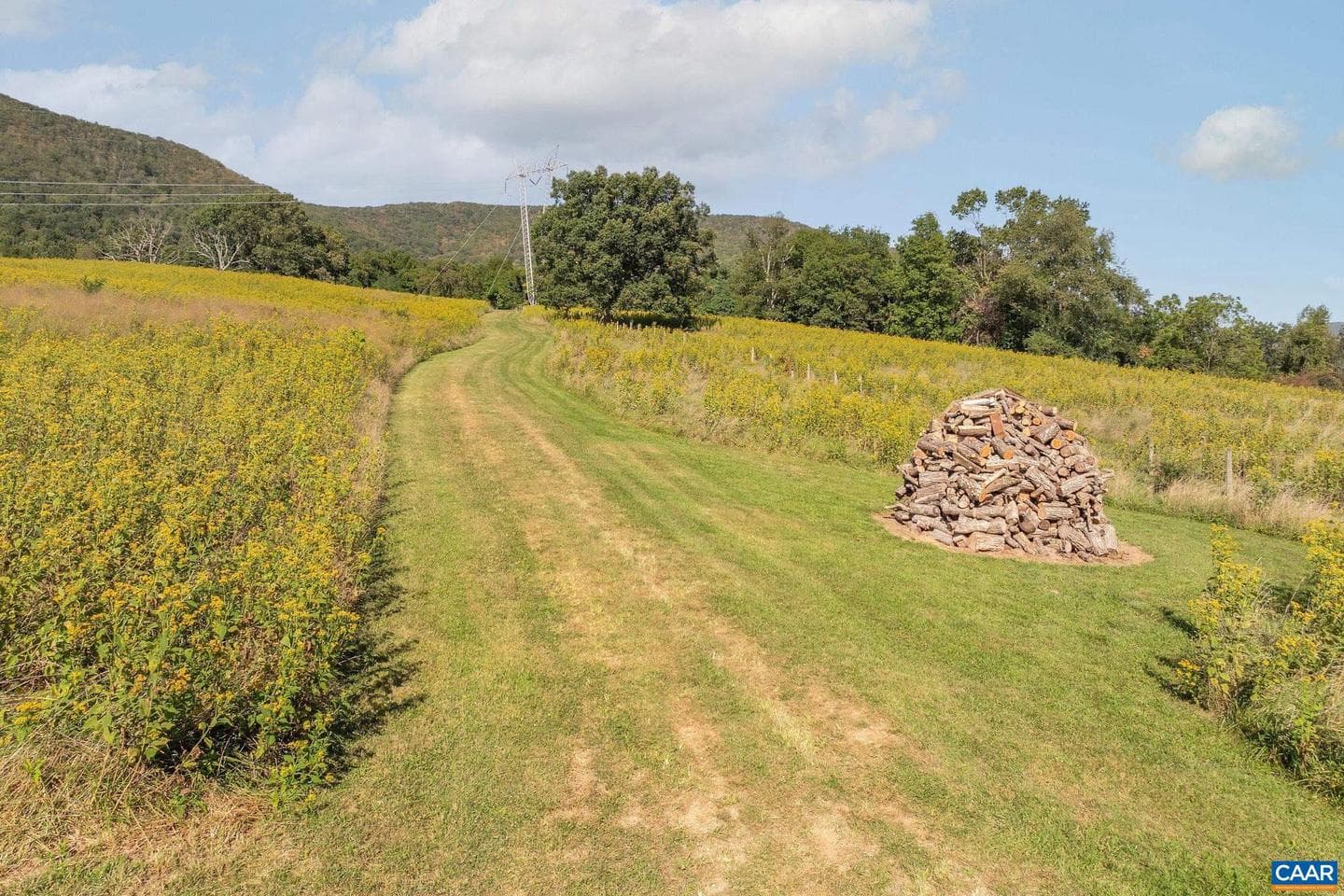 699 Hendrickson Rd photo 66