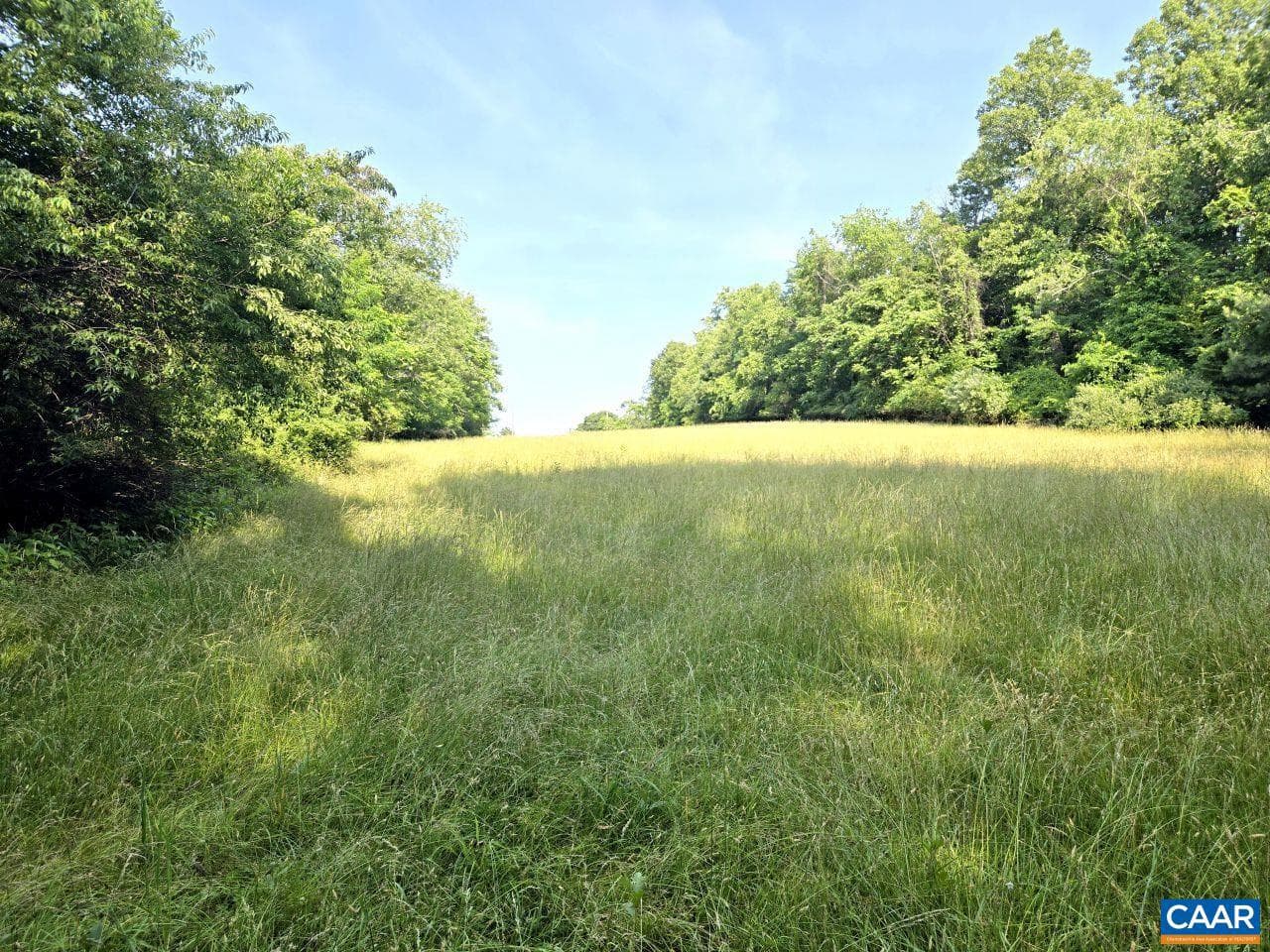 243 Huff Creek Trl photo 31