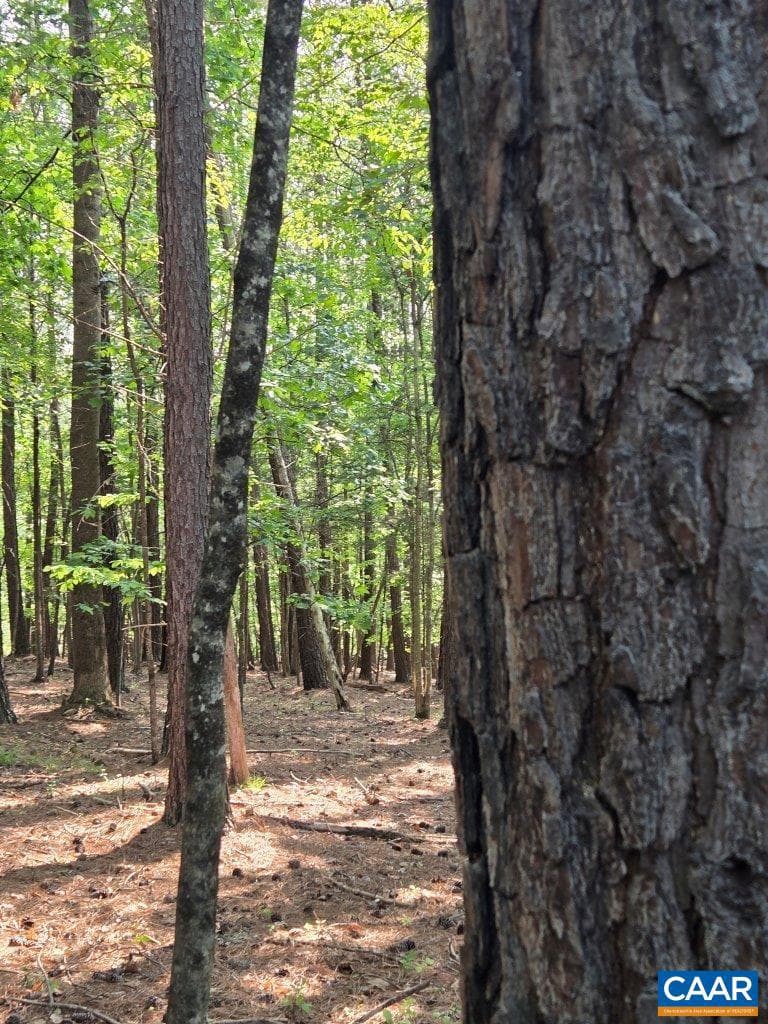 243 Huff Creek Trl photo 38