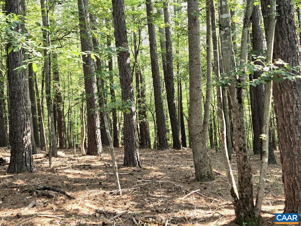 243 Huff Creek Trl photo 39