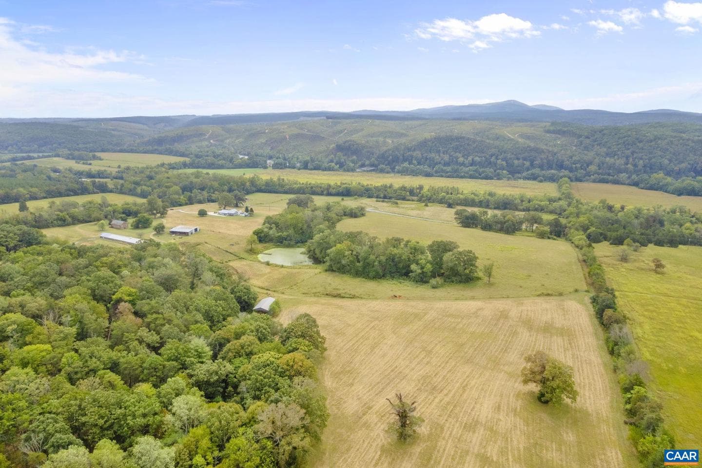 12189 Norwood Rd photo 51