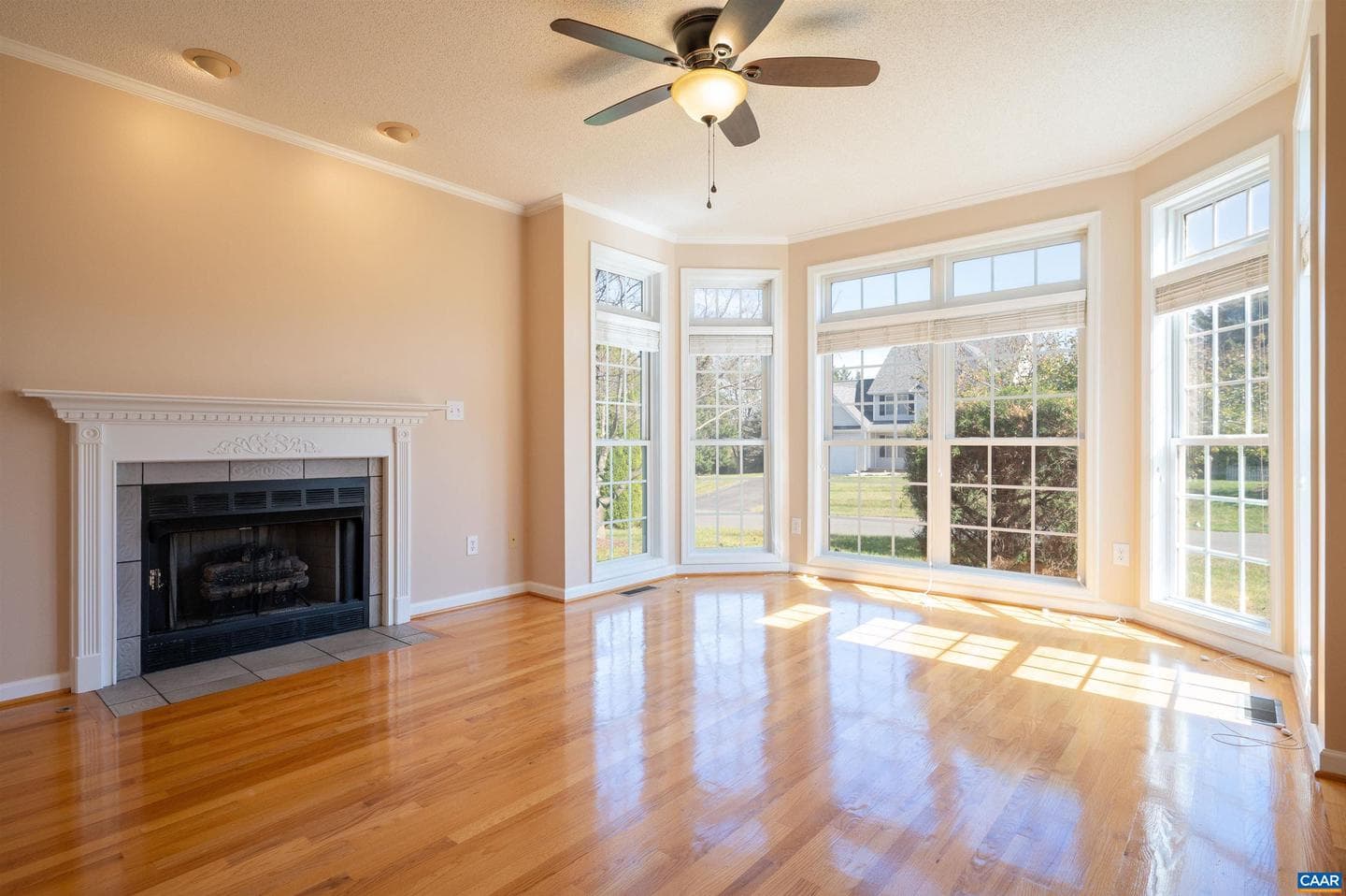 48 Lillian Dr photo 5
