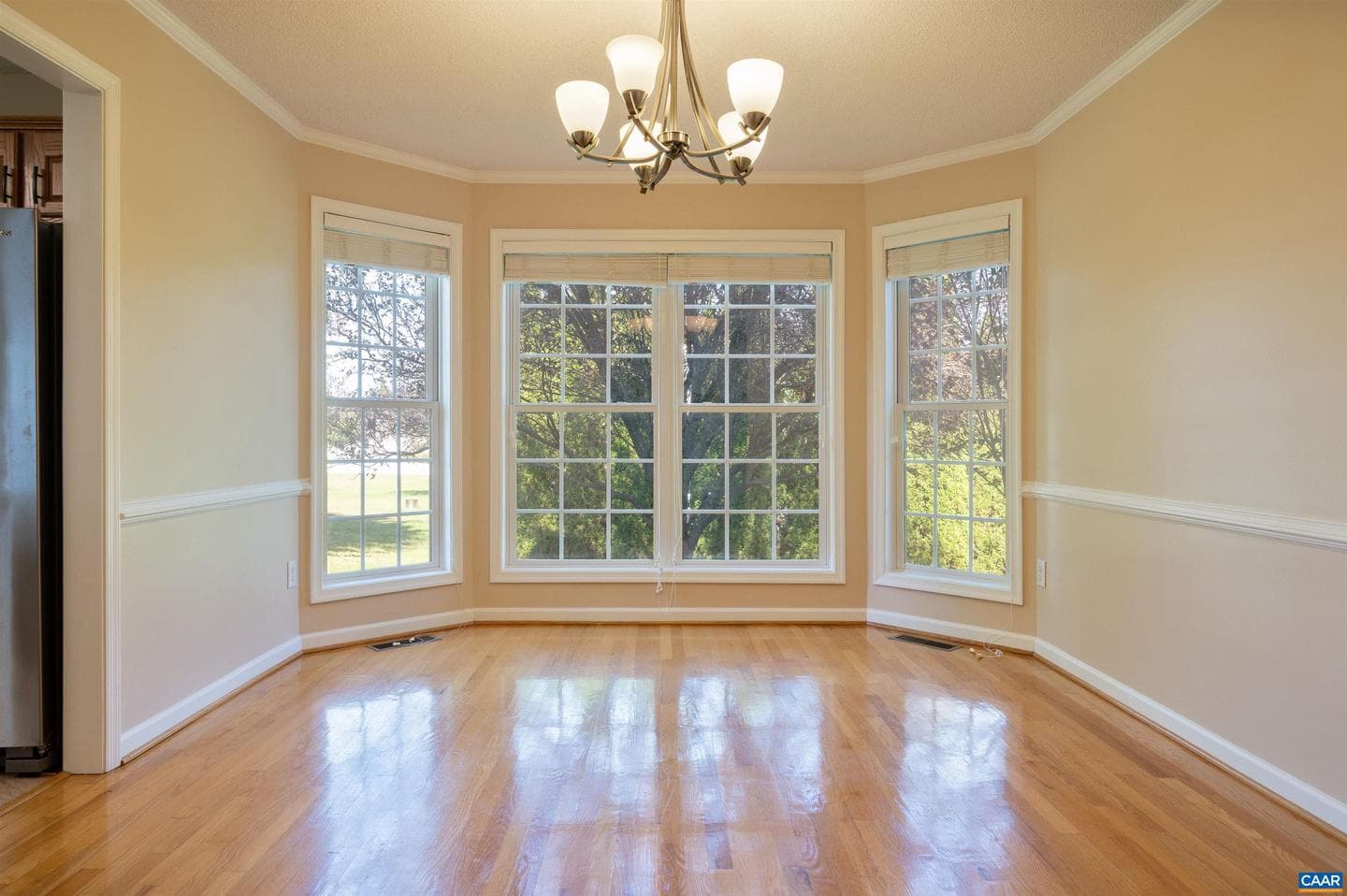 48 Lillian Dr photo 6