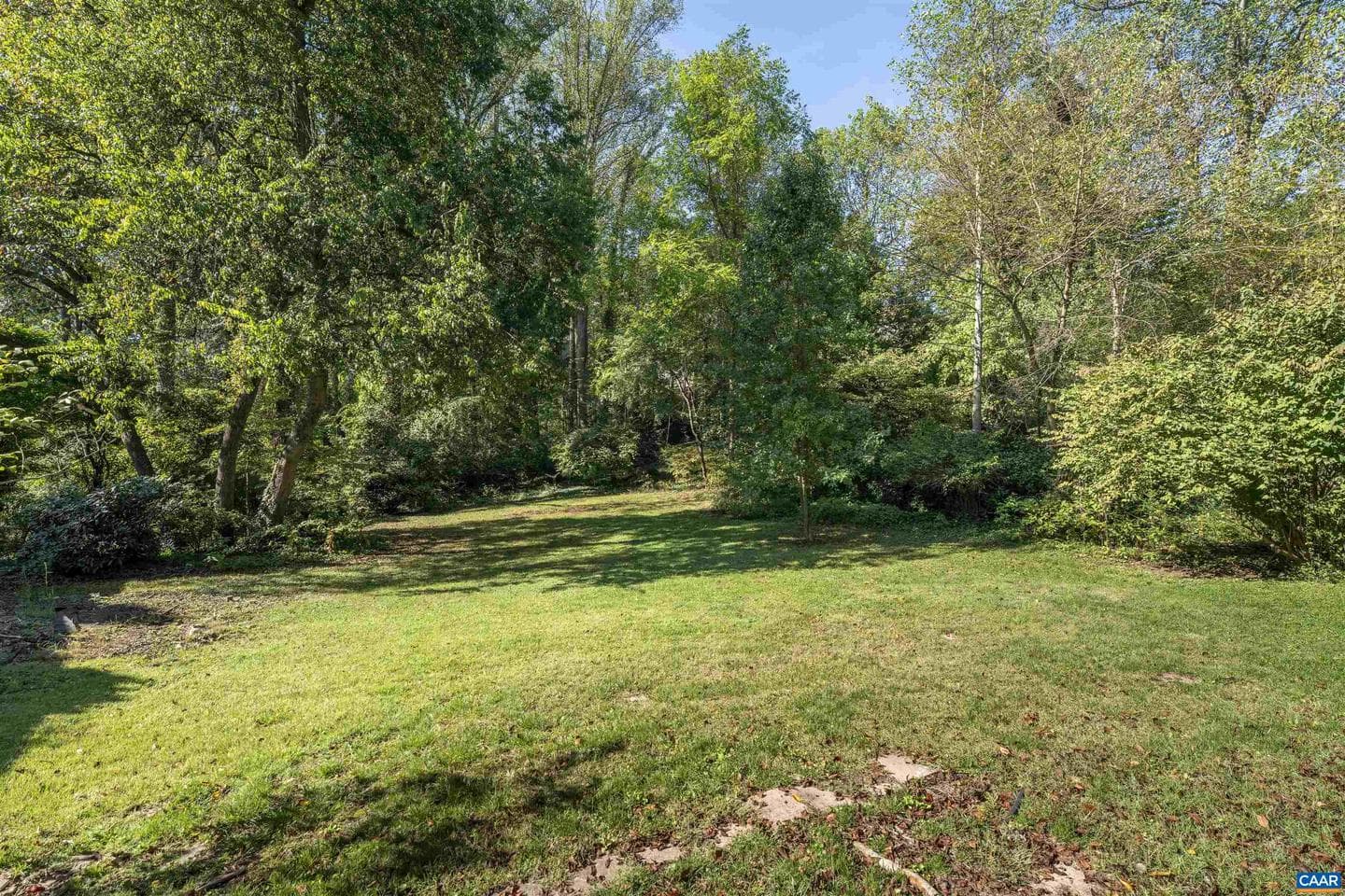 207 Surrey Rd photo 36