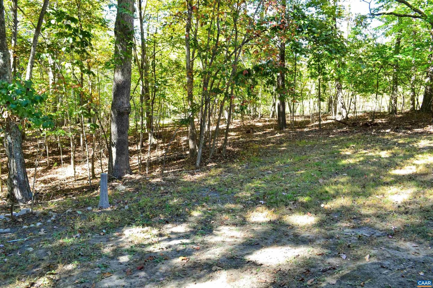 16070 Burnley Rd photo 35