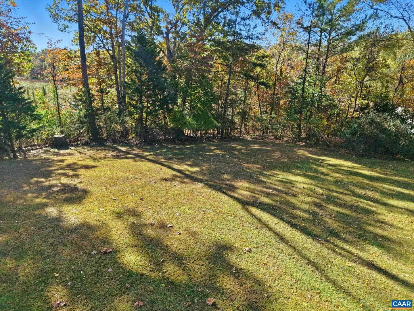 5356 Amicus Rd photo 41
