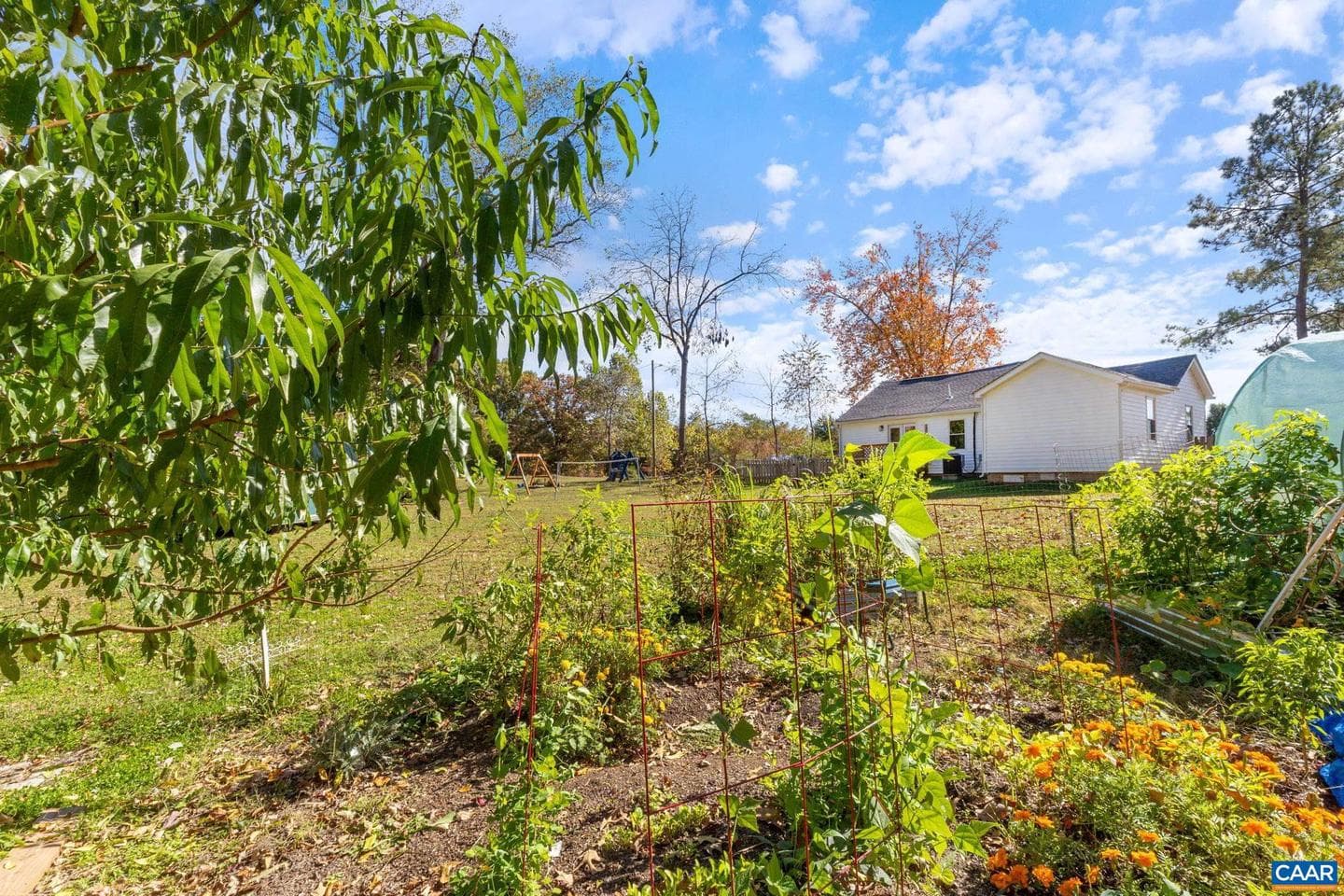 874 James River Rd photo 39