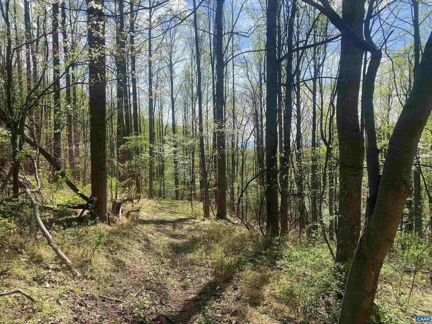 2728 East Branch Loop photo 46