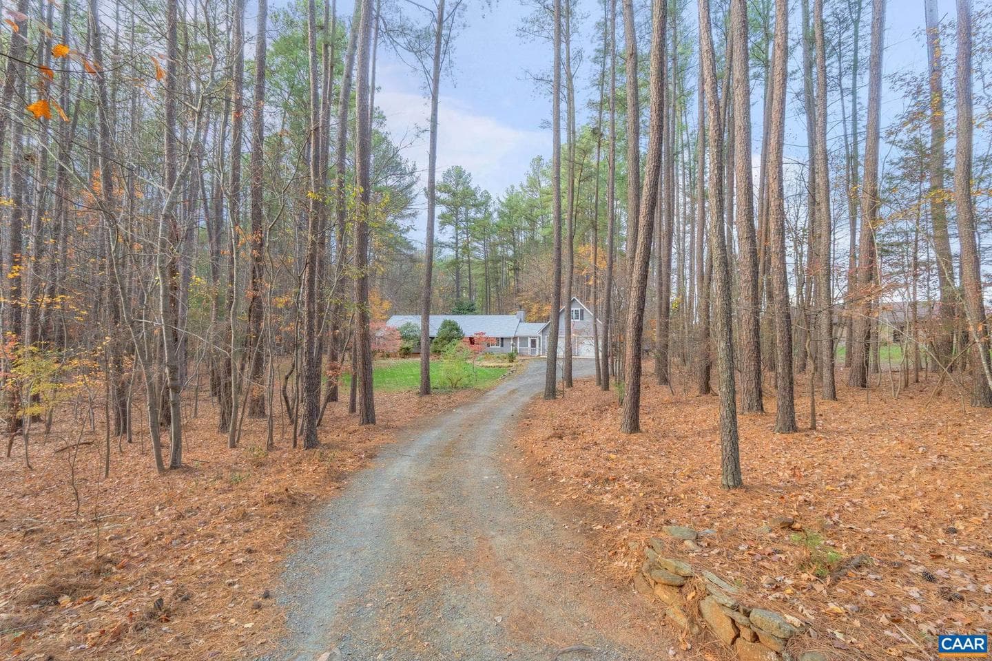 4220 Paddock Cir photo 3