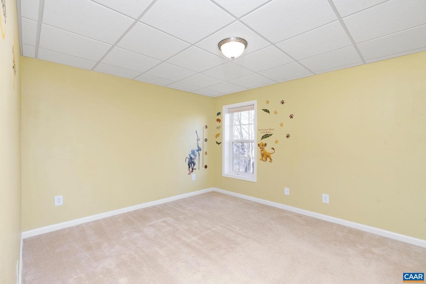4943 Lake Tree Ln photo 39