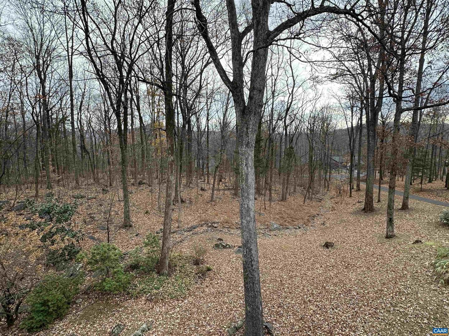 423 Foothills Dr photo 61