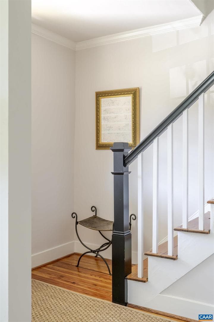1107 Myrtle St photo 9