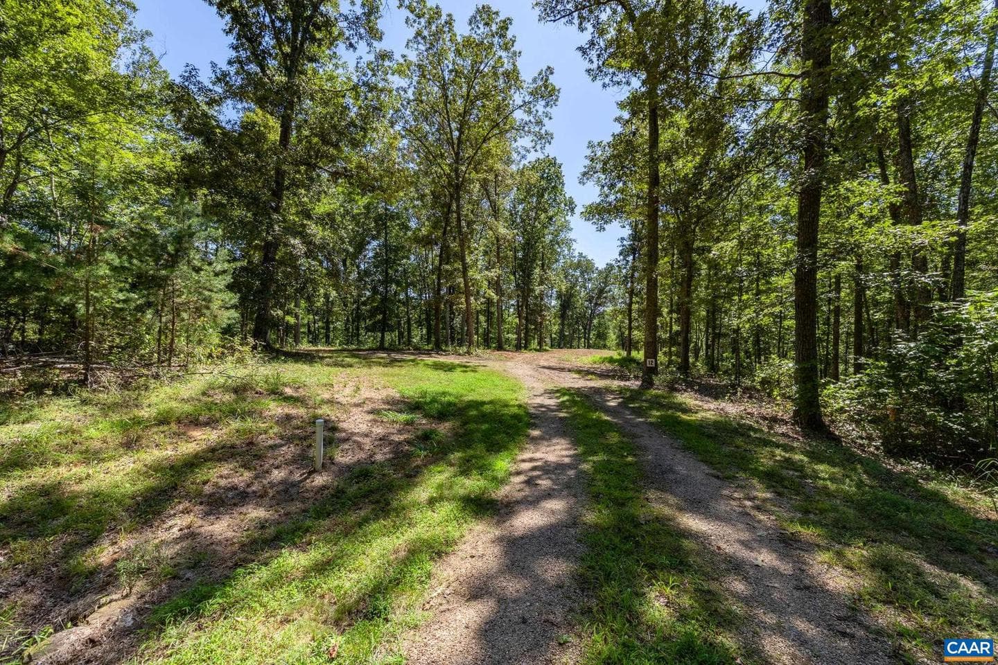 12 Langdon Woods Dr photo 61